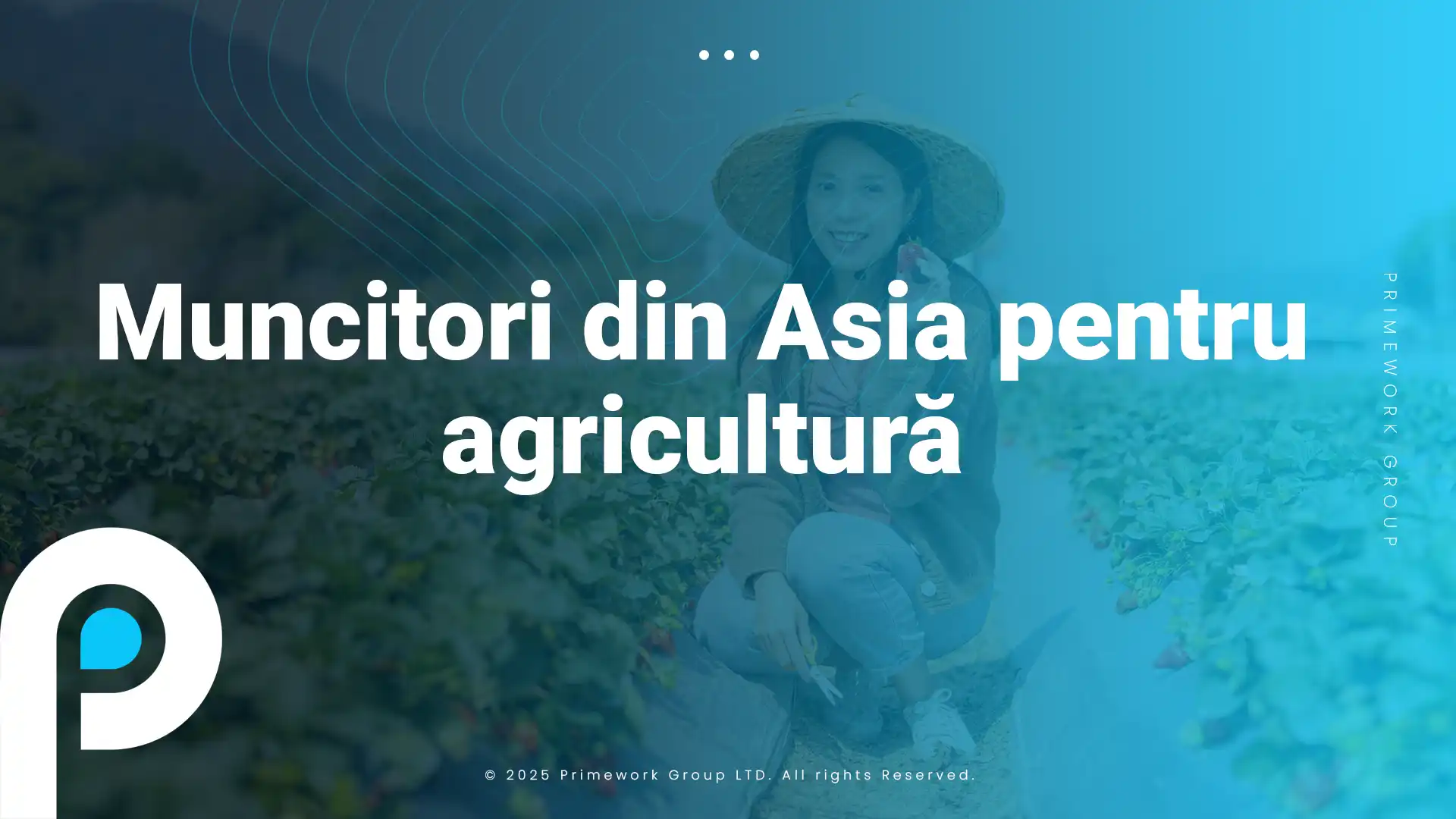 Muncitori din Asia pentru agricultură